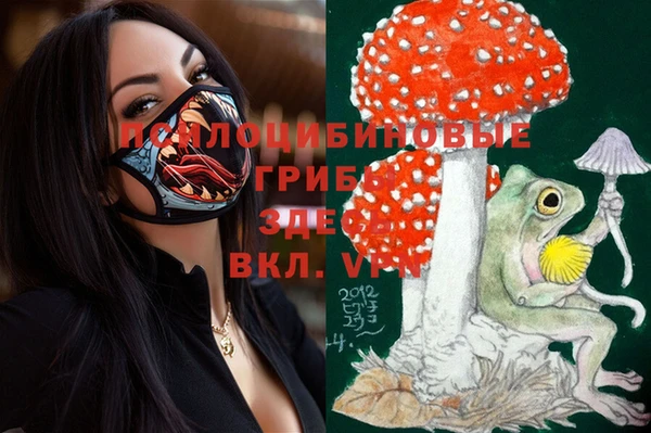 прущие крисы Волоколамск