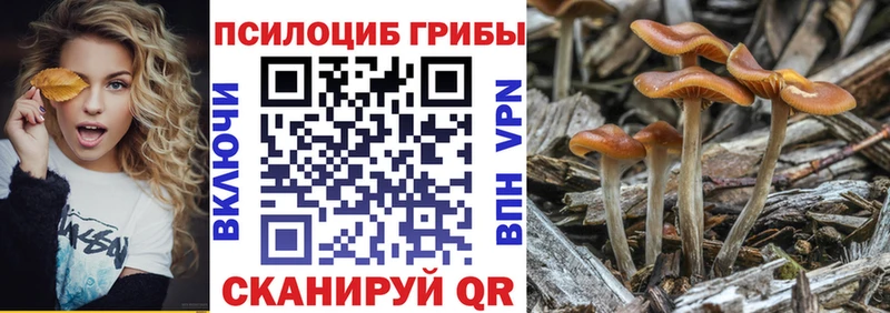 Галлюциногенные грибы прущие грибы как найти наркотики Новосибирск